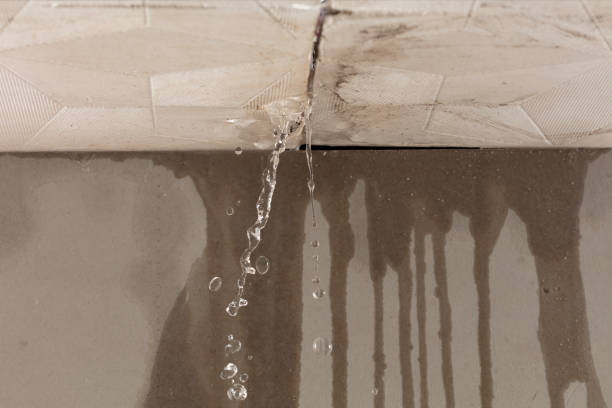 Professional Emergency Water Removal technician working in Pompeii, MI